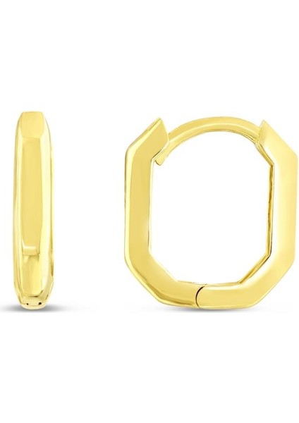 14 Ayar Soft Tasarım Halka Altın Küpe