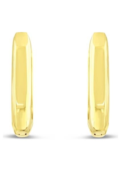 14 Ayar Soft Tasarım Halka Altın Küpe fiyatları