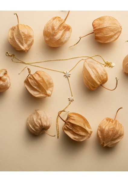 925 Ayar Gümüş Altın Renkli Kutup Yıldızı Motifli Şahmeran -Silveria Jewels