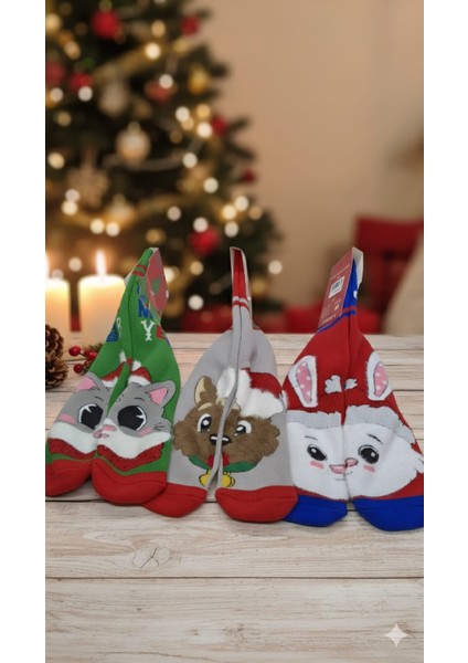 ; Kadın Noel Çorabı (37-40) ; %80 Pamuk; Dikişsiz, Yıkamalı 3'lü Paket fiyatları