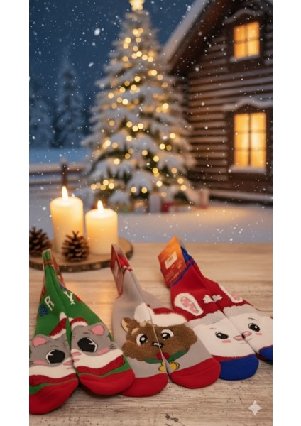 ; Kadın Noel Çorabı (37-40) ; %80 Pamuk; Dikişsiz, Yıkamalı 3'lü Paket modelleri