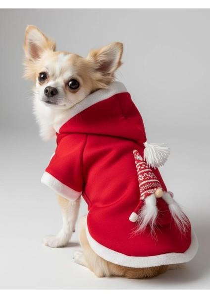 Noel Cücesi Gnome Yılbaşı Köpek Kıyafeti Noel Cücesi Gnome Kırmızı Polar | Kapüşonlu Noel Köpek Sweatshirt | Küçük Irklar Için Premium indirimleri
