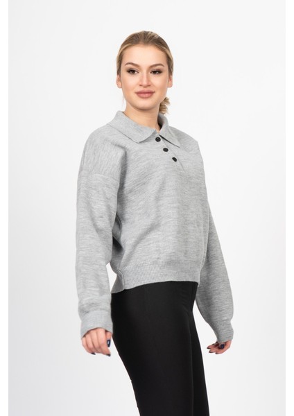 Dıana Polo Yaka Kazak 2002 fiyatları