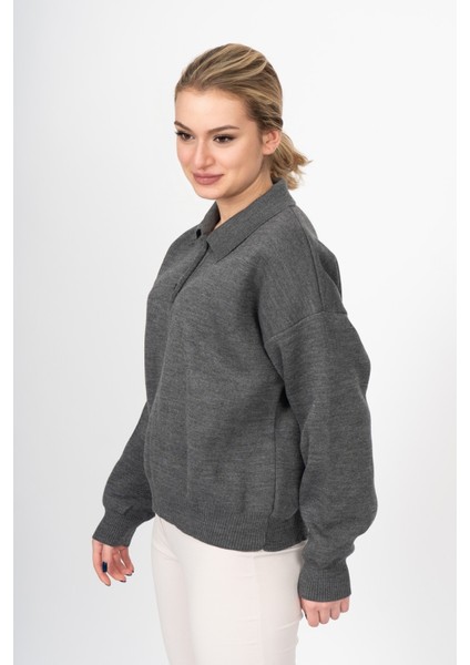 Dıana Polo Yaka Kazak 2002 fiyatları