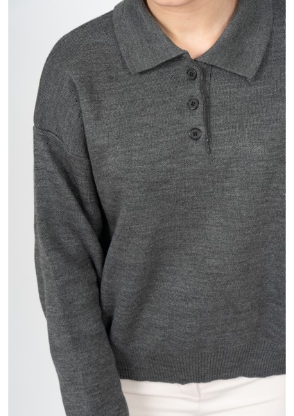 Dıana Polo Yaka Kazak 2002 modelleri