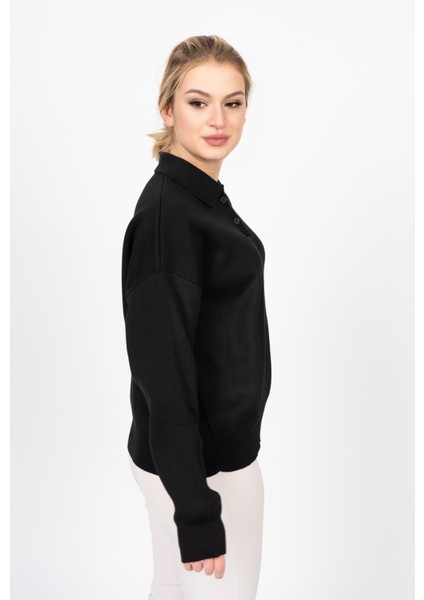 Dıana Polo Yaka Kazak 2002 fiyatları