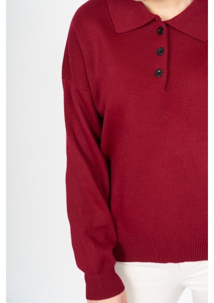 Dıana Polo Yaka Kazak 2002 fiyatları