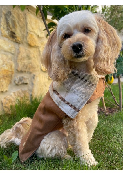 Elsa Çift Taraflı Kahverengi Süet Kaban-Köpek Montu