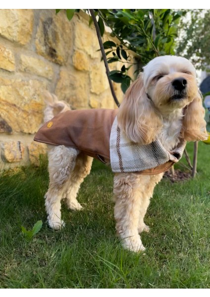 Elsa Çift Taraflı Kahverengi Süet Kaban-Köpek Montu modelleri