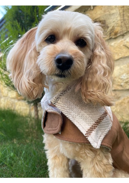 Elsa Çift Taraflı Kahverengi Süet Kaban-Köpek Montu fırsatları