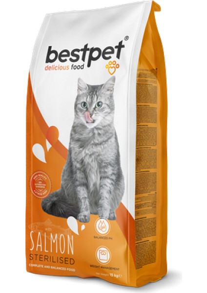 Mtxdpn Bestpet 15 Kg Yetişkin Kısırlaştırılmış Kediler İçin Somonlu Kuru Mama modelleri