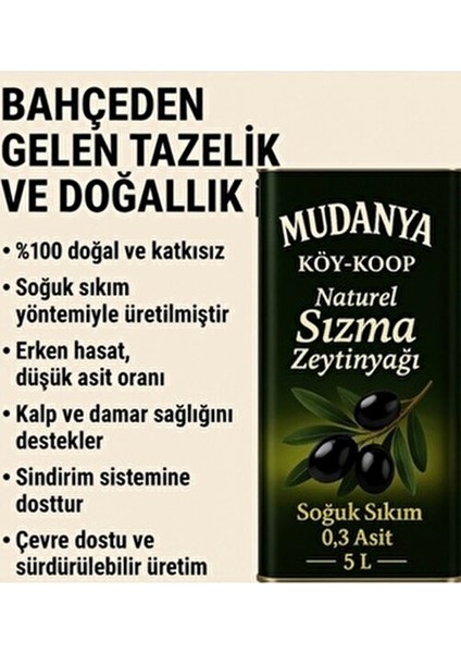 Mudanya Soğuk Sıkım Sızma Zeytinyağı 5 Lt Türkiye Menşeli Yüksek Kalite
