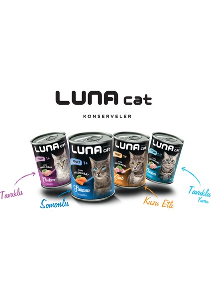 Cat Kuzulu Kedi Konserve 3lü fiyatları