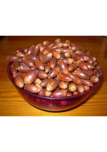 Meşe Palamudu 250 gr