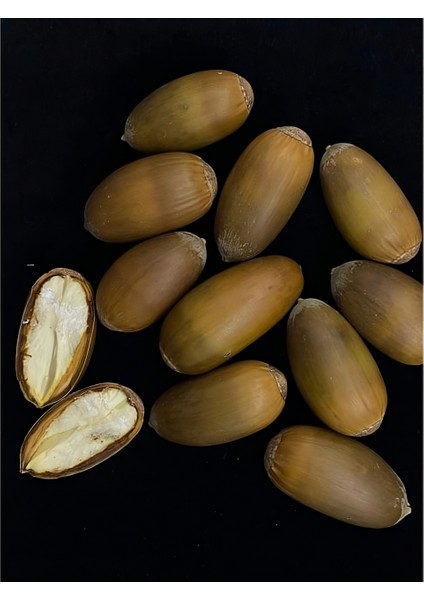 Meşe Palamudu 250 gr modelleri