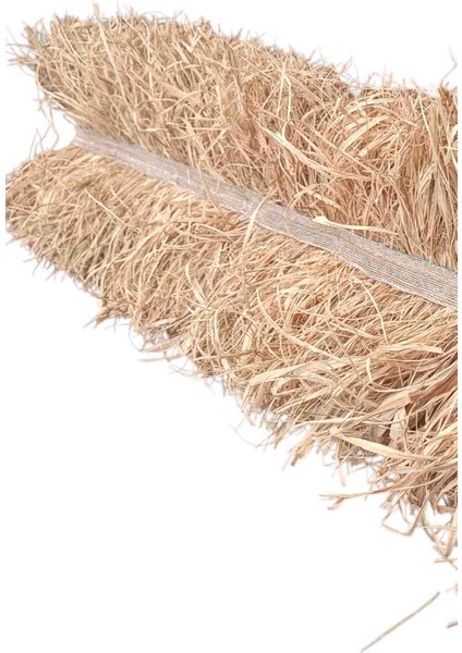 25CM.X100 Cm. Hasır Püskül Otu Saçak Otu Duvar Dekorasyon modelleri