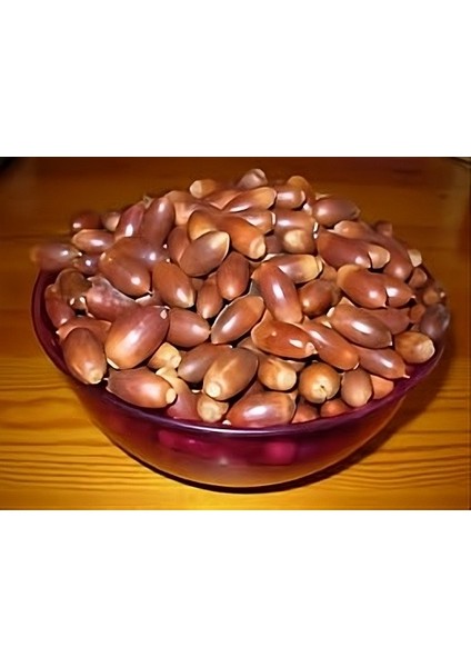 Meşe Palamudu 500 gr