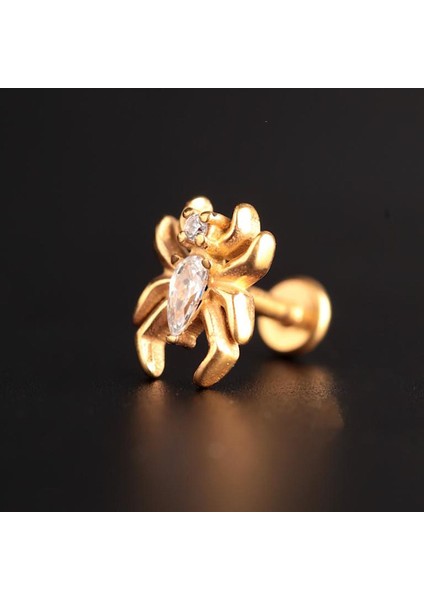316 L Cerrahi Çelik Örümcek Zirkon Kıkırdak Tragus Helix Piercing