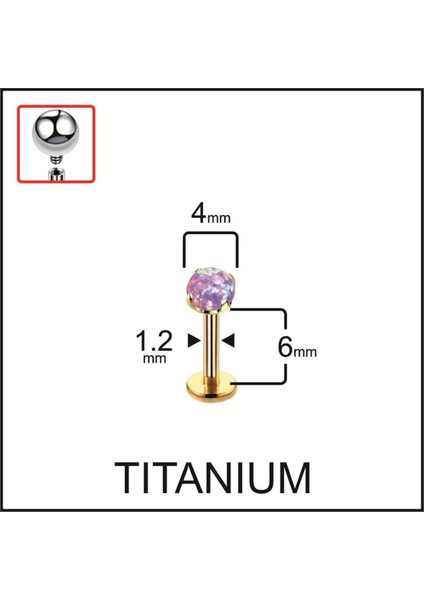%100 G23 Titanyum Titanyum Altın Mor Opal Taşlı Kıkırdak Tragus Labret Piercing
