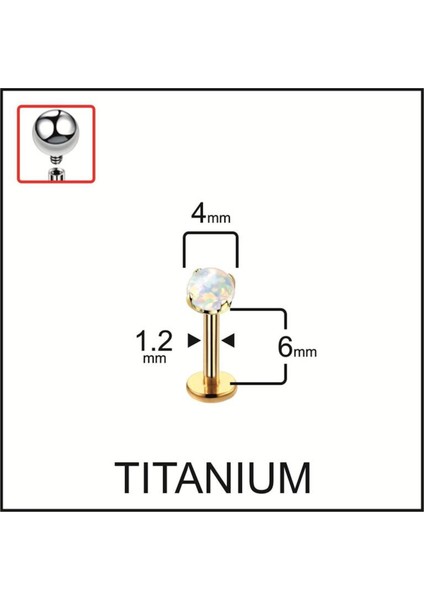 %100 G23 Titanyum Titanyum Altın Beyaz Opal Taşlı Kıkırdak Tragus Labret Piercing
