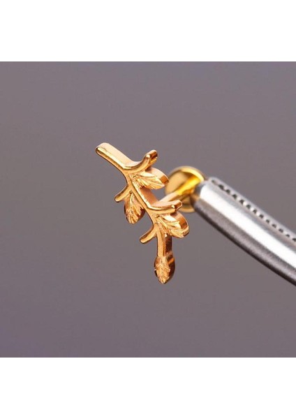 %100 G23 Titanyum Zirkon Gül Dalı Detay Kıkırdak Conch Tragus Piercing
