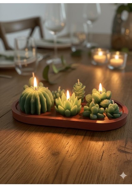 Tasarım Kaktüs Mum Alçı Saksı Içinde Toprak Görünümlü Kaktüs Kokulu Mum