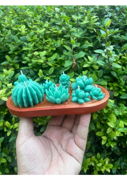 Tasarım Kaktüs Mum Alçı Saksı Içinde Toprak Görünümlü Kaktüs Kokulu Mum fiyatları