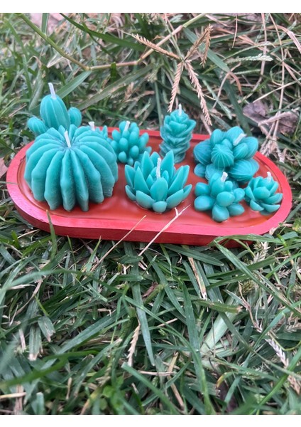 Tasarım Kaktüs Mum Alçı Saksı Içinde Toprak Görünümlü Kaktüs Kokulu Mum modelleri