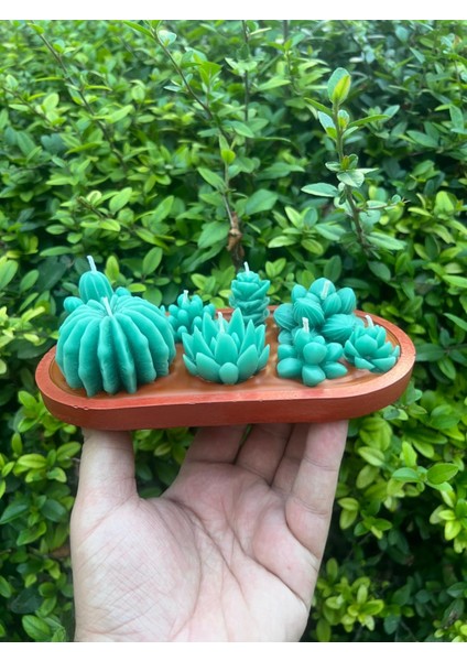 Tasarım Kaktüs Mum Alçı Saksı Içinde Toprak Görünümlü Kaktüs Kokulu Mum fırsatları