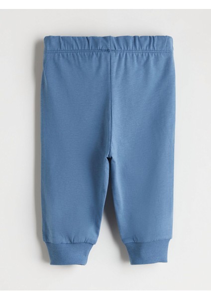 Lcw Peak Yeni Sezon Ayıcık Baskılı Erkek Bebek Sweatshirt ve Eşofman Altı