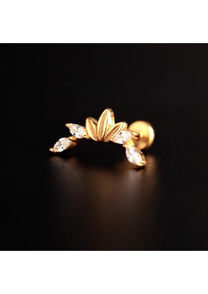 316 L Cerrahi Çelik Markiz Tiara Piercing Zirkon Kıkırdak Tragus Helix Piercing