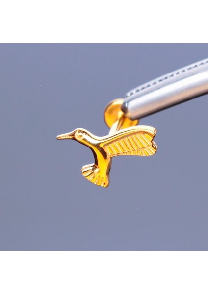 %100 G23 Titanyum Kuş Altın Titanyum 8x1.2mm Labret Kıkırdak Piercing