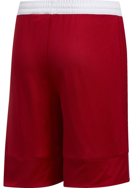 Performance DY6627 3G Speed Reversible Shorts indirimleri