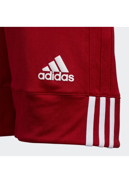 Performance DY6627 3G Speed Reversible Shorts