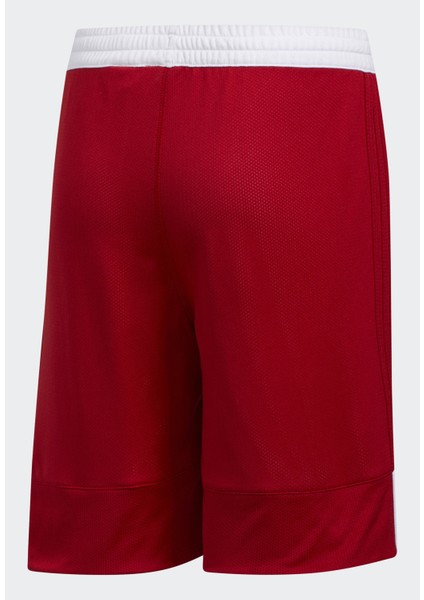 Performance DY6627 3G Speed Reversible Shorts