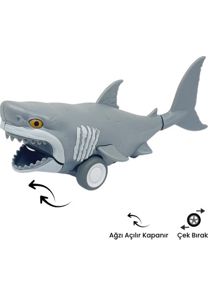 Sürtmeli Hayvanlar 2'li - Köpek Balığı ve Balina (Lisinya) modelleri