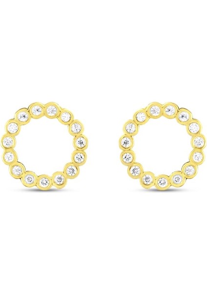 14 Ayar Taşlı Tasarım Halka Altın Küpe