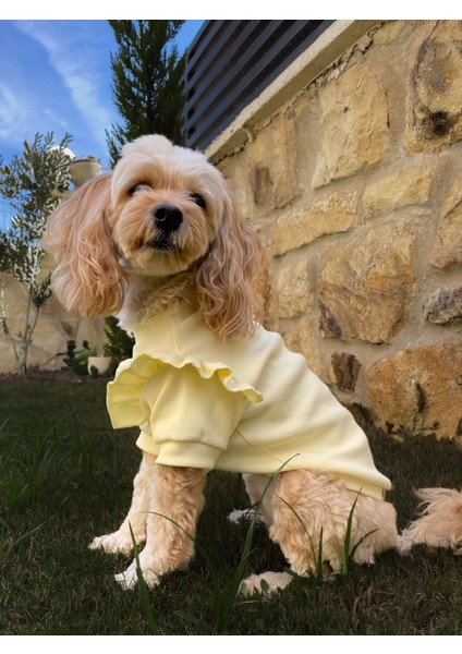 Limonetta Sarı Fırfırlı Köpek Sweatshirt-Köpek Kıyafeti fiyatları