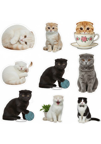 Kediler Telefon Laptop Notebook Tablet Defter Matara Stiker Etiket ST2345