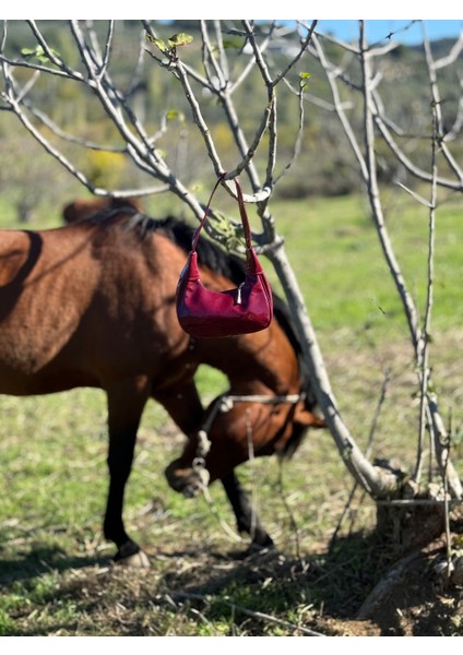 Possıons Cherry Rugan Baget El ve Kadın Omuz Çantası fiyatları