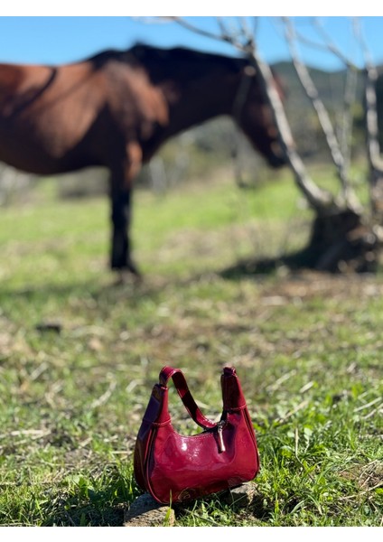Possıons Cherry Rugan Baget El ve Kadın Omuz Çantası modelleri