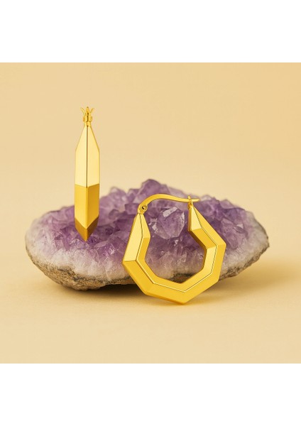 14K Altın Geometrik Halka Küpe