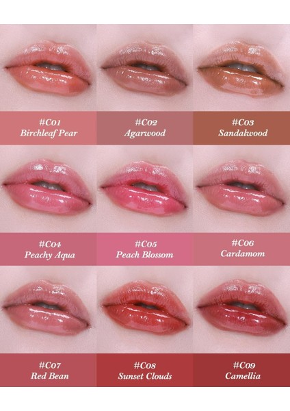 Butterfly Cloud Collar Parlak Nemlendirici Ruj modelleri