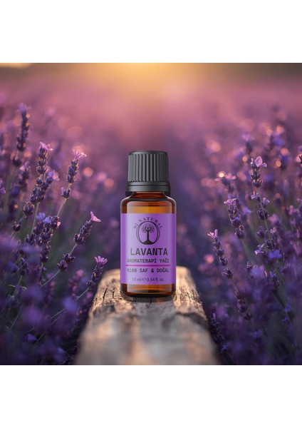 Lavanta Esansiyel Uçucu Yağ ile Huzuru Evinize Taşıyın