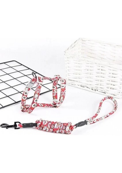 Kedi Gezdirme Göğüs Tasması fiyatları