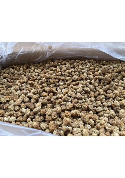 Elazığ-Malatya Yöresi Beyaz Dut Kurusu Ikinci Kalite (Yeni Sezon 2025-26) 400 gr fiyatları