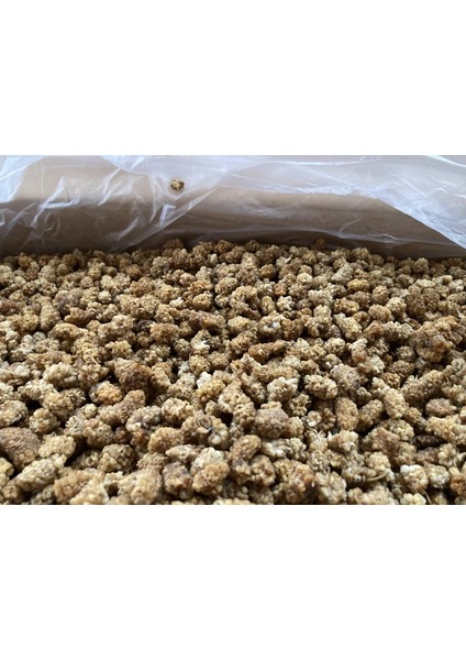 Elazığ-Malatya Yöresi Beyaz Dut Kurusu Ikinci Kalite (Yeni Sezon 2025-26) 400 gr modelleri