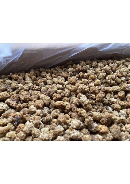 Elazığ-Malatya Yöresi Beyaz Dut Kurusu Ikinci Kalite (Yeni Sezon 2025-26) 400 gr fırsatları