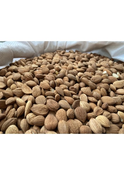 Malatya Acı Kayısı Çekirdeği (Yeni Sezon 2025-26) 700 gr modelleri