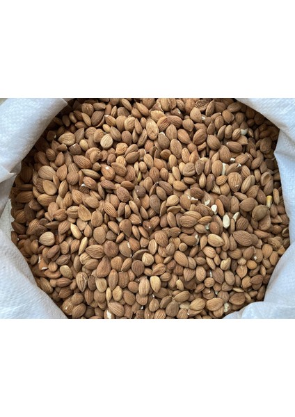 Malatya Acı Kayısı Çekirdeği (Yeni Sezon 2025-26) 700 gr indirimleri